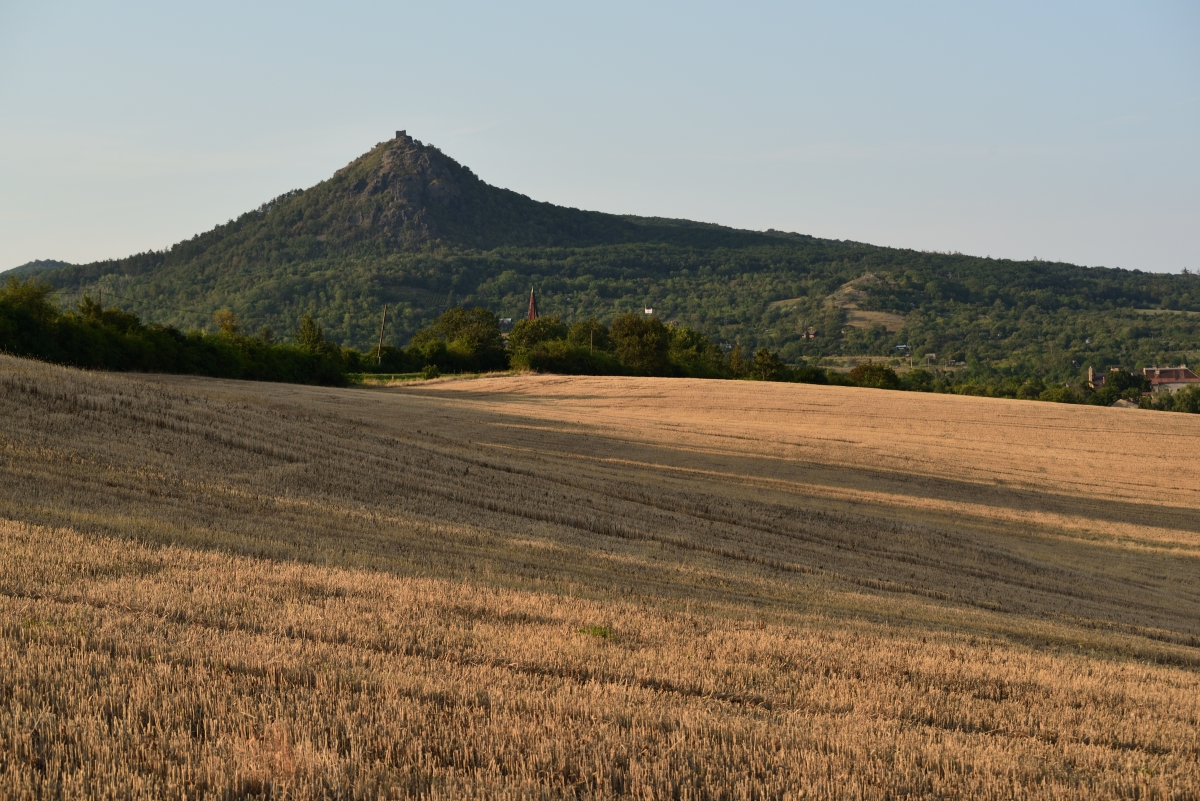 DSC_2635_00001n.jpg