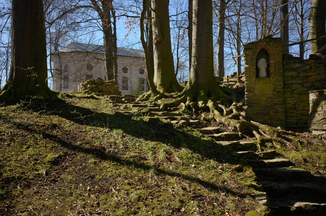 DSC_2640_00001n.jpg