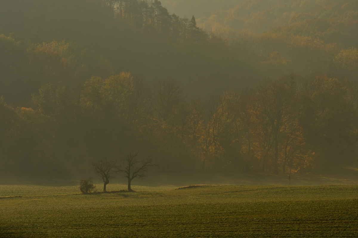 DSC_2646_00001n.jpg