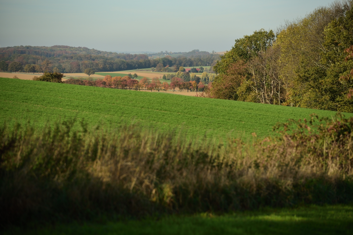 DSC_2654_00001n.jpg