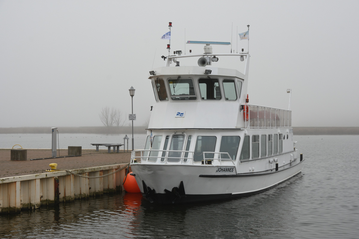 DSC_2659.JPG