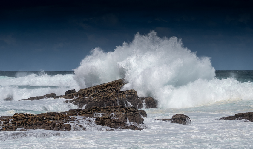 DSC_2668.jpg