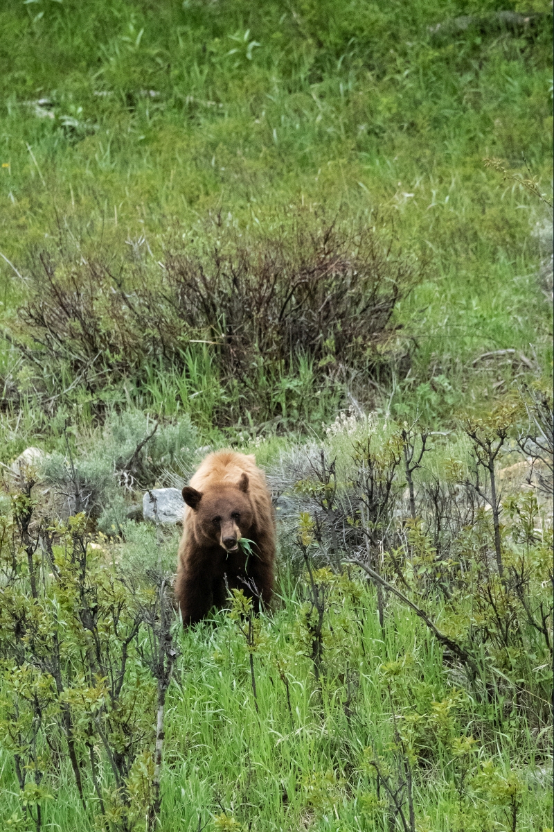 DSC_2671.jpg