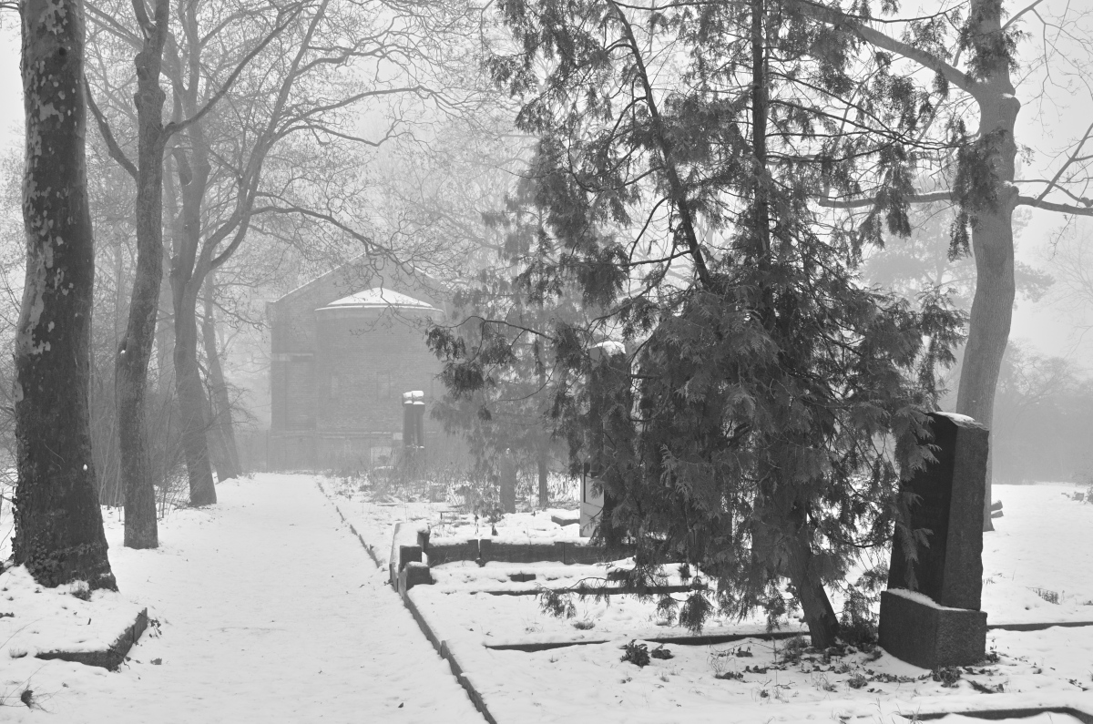 DSC_2677.JPG