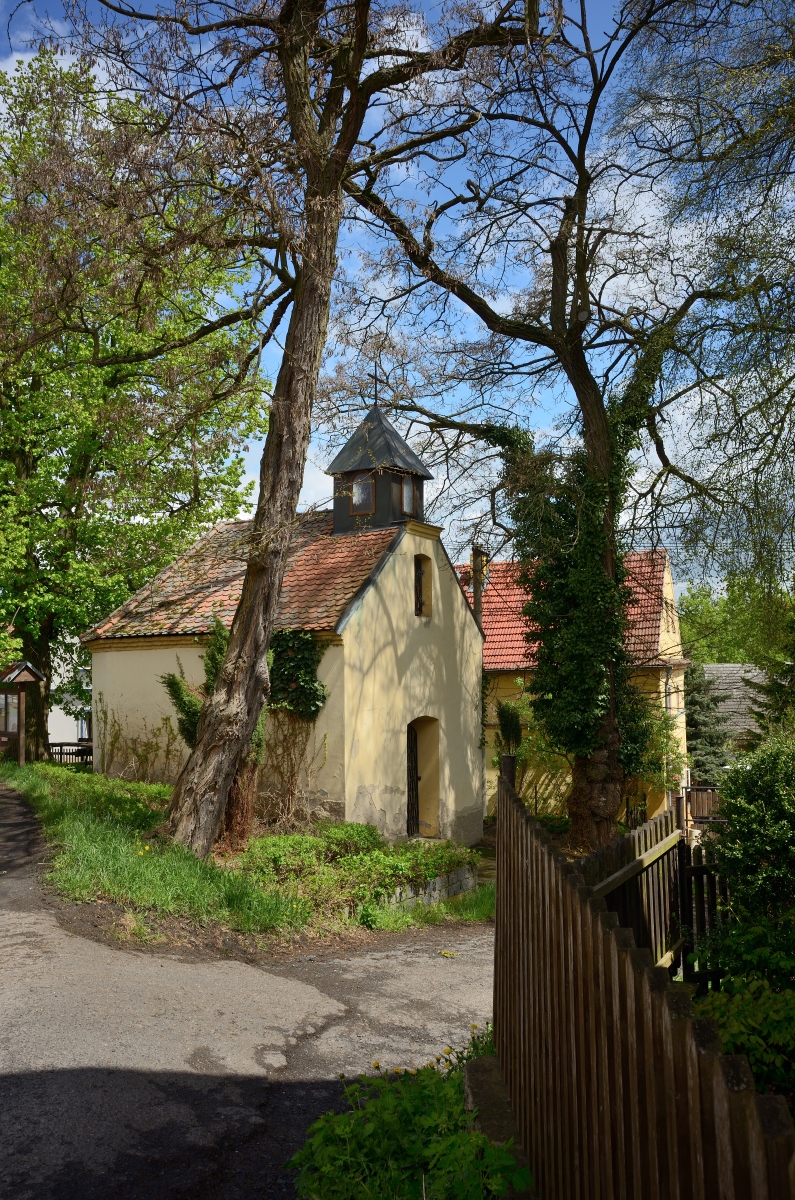 DSC_2701_00001n.jpg