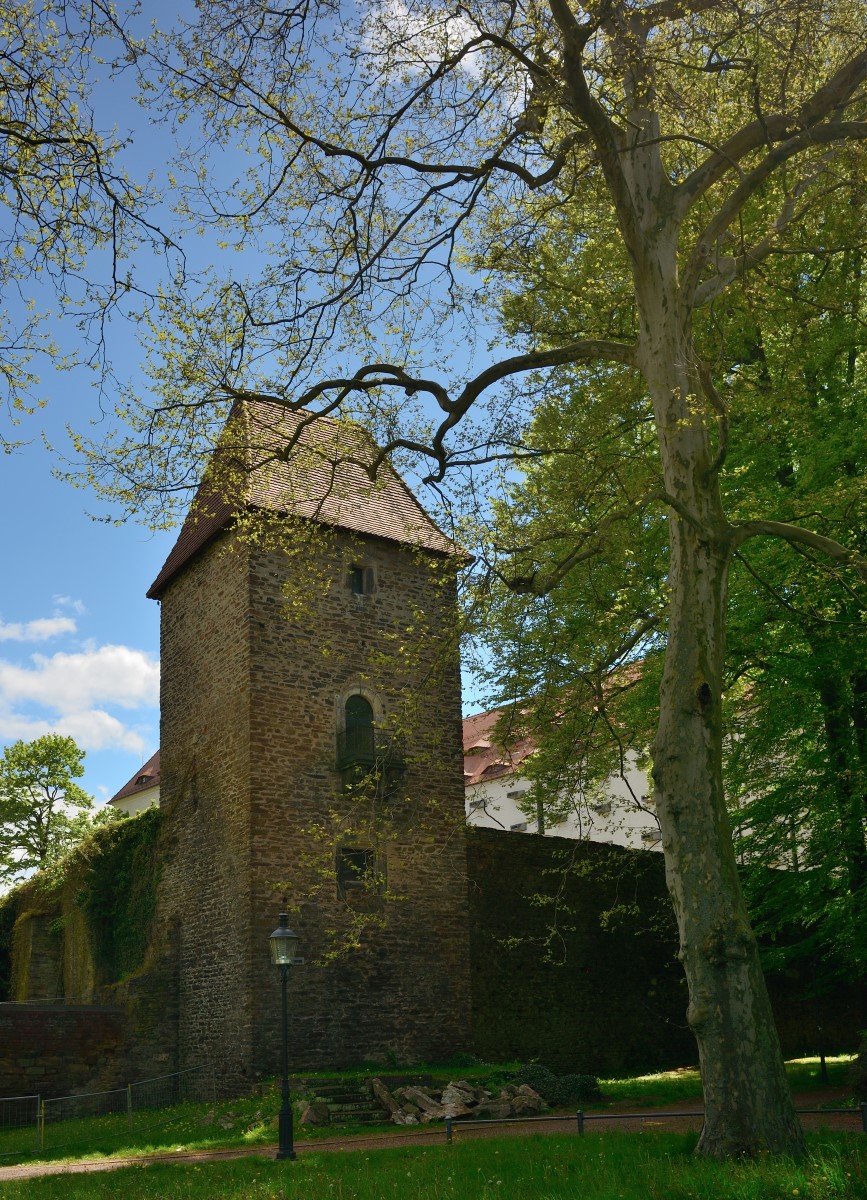 DSC_2745_00001 (2)n.jpg
