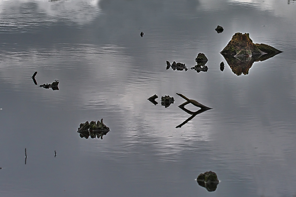 DSC_2753.jpg