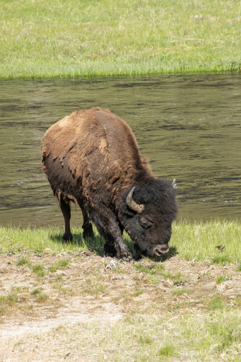DSC_2774.jpg