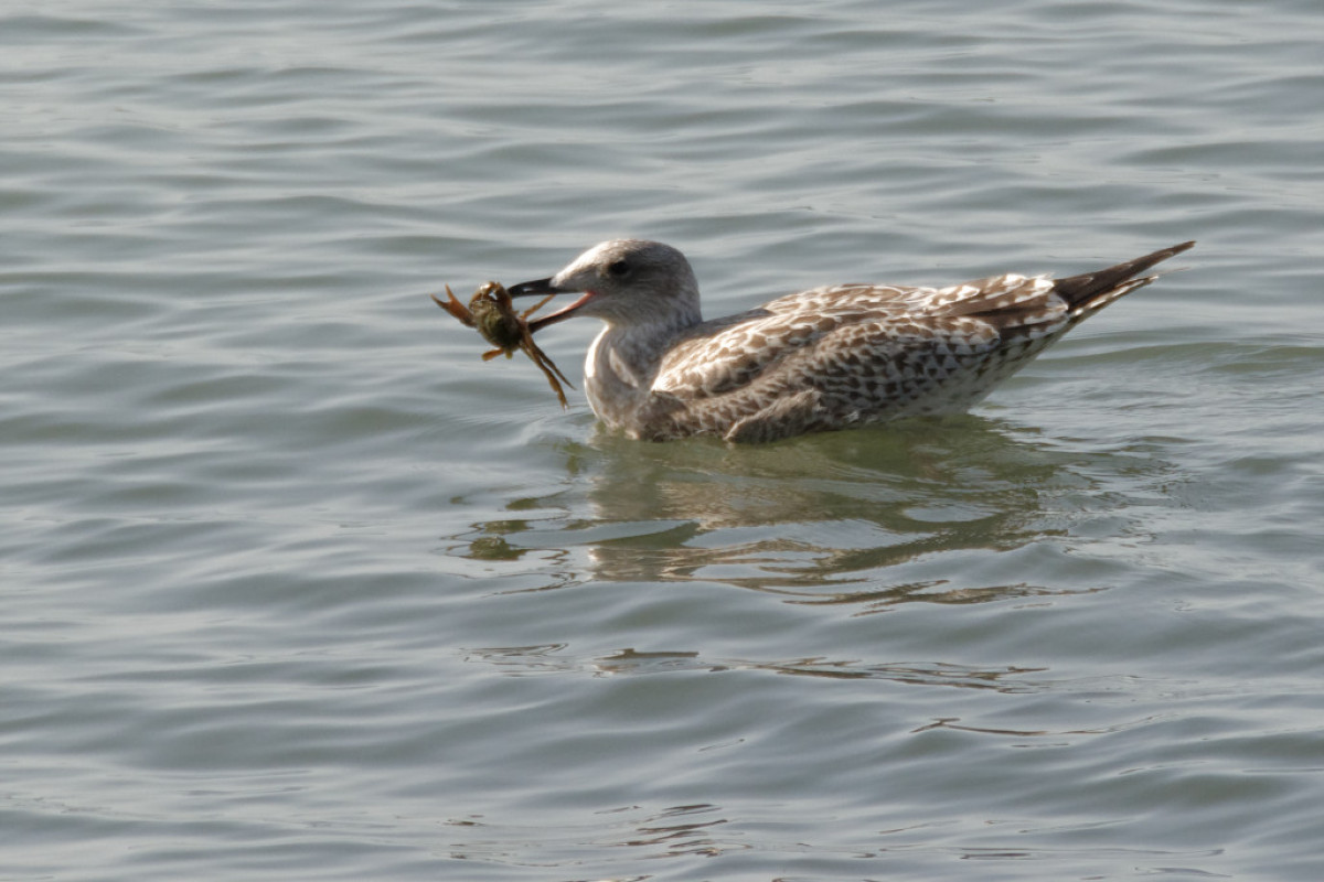 DSC_2785_DxO_DxO.jpg