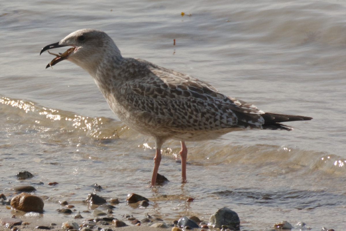 DSC_2789_DxO_DxO.jpg