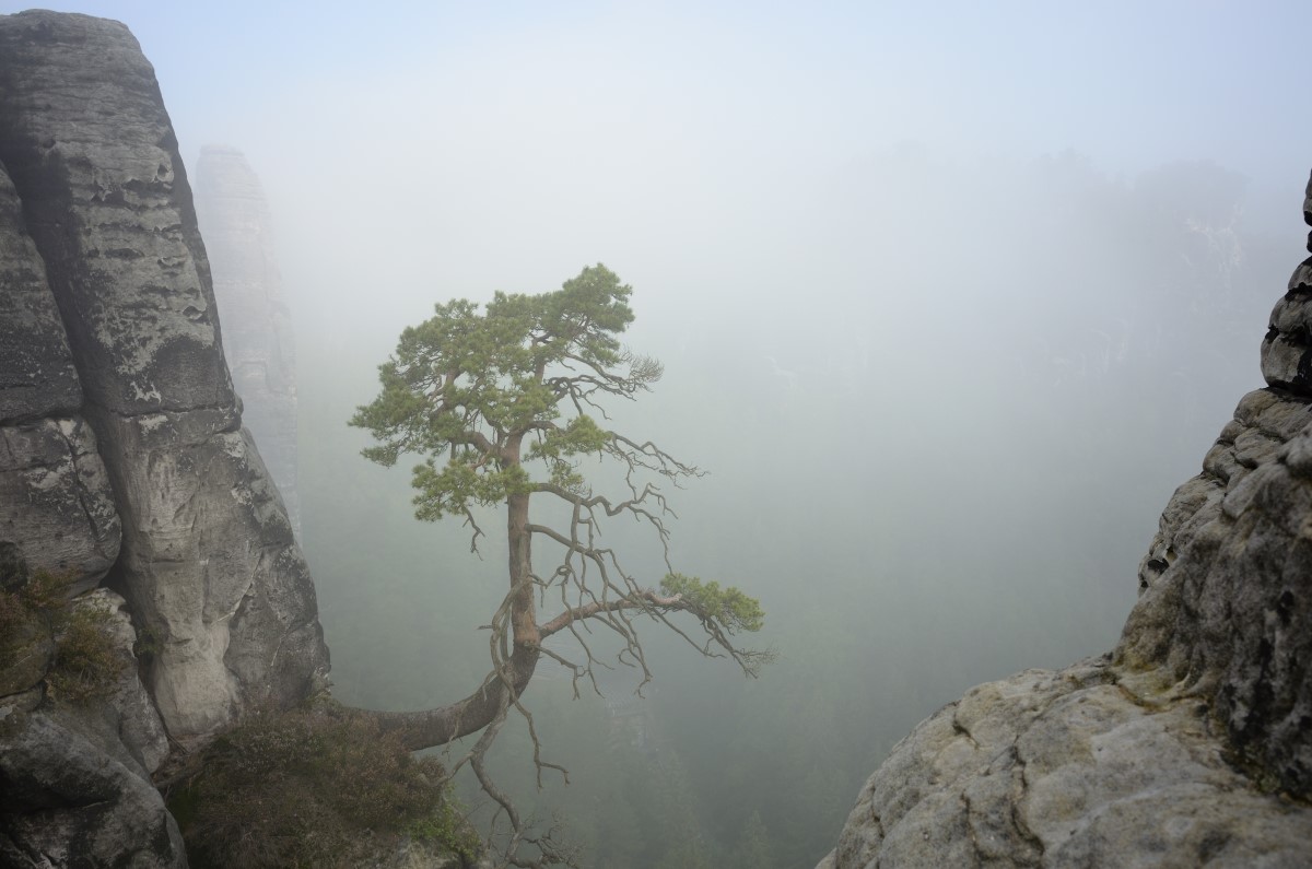 DSC_2805_00001n.jpg