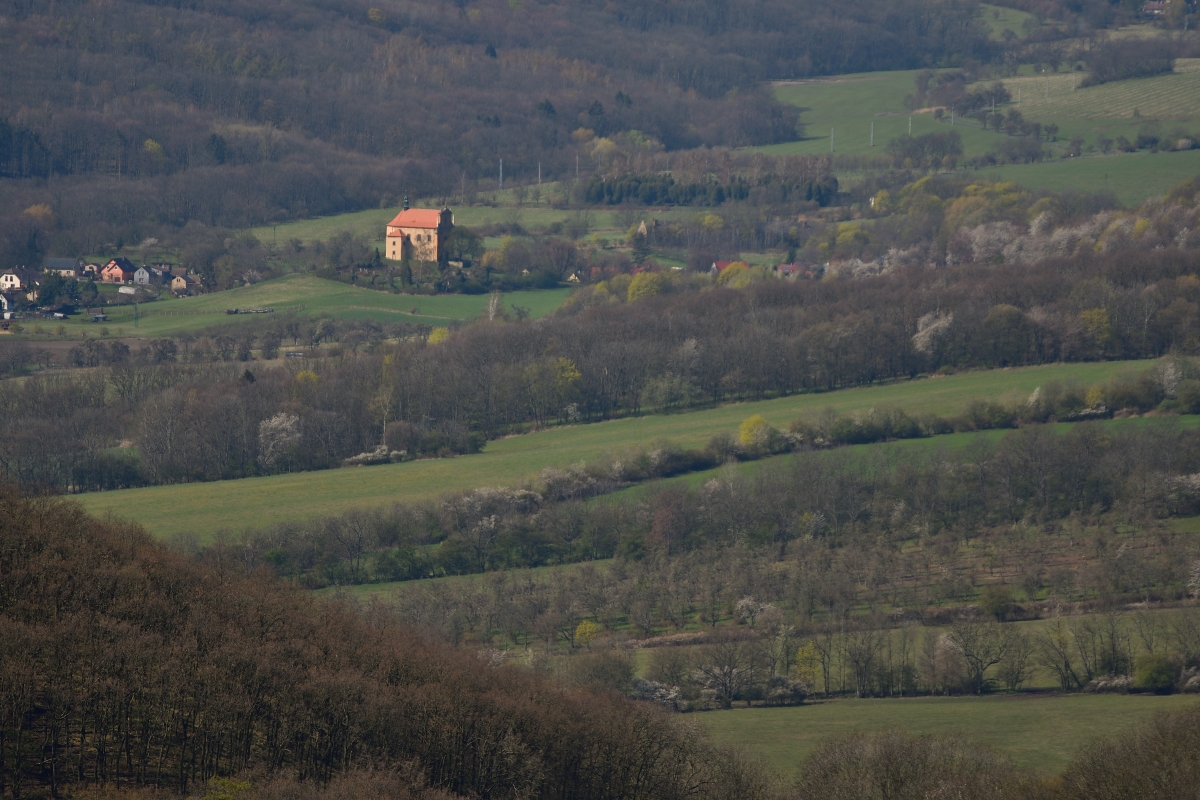 DSC_2848_00001n.jpg