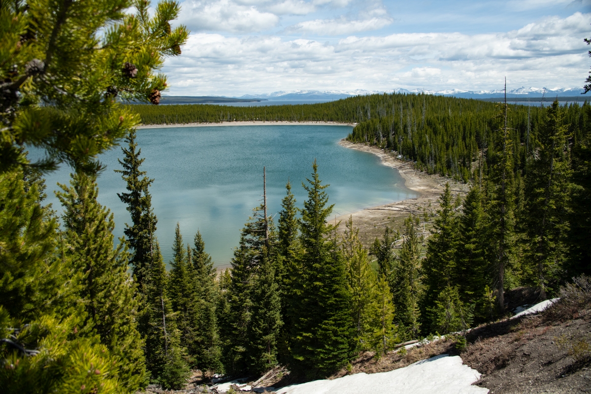 DSC_2855.jpg
