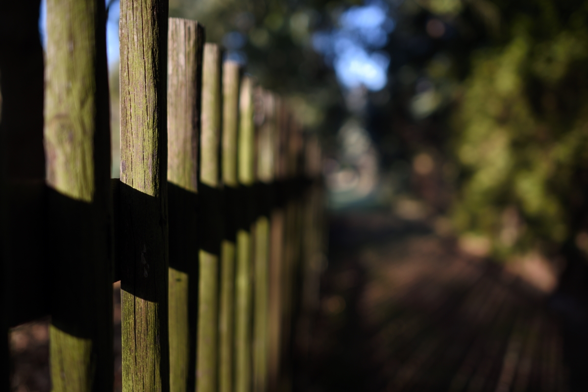 DSC_2857_00001n.jpg