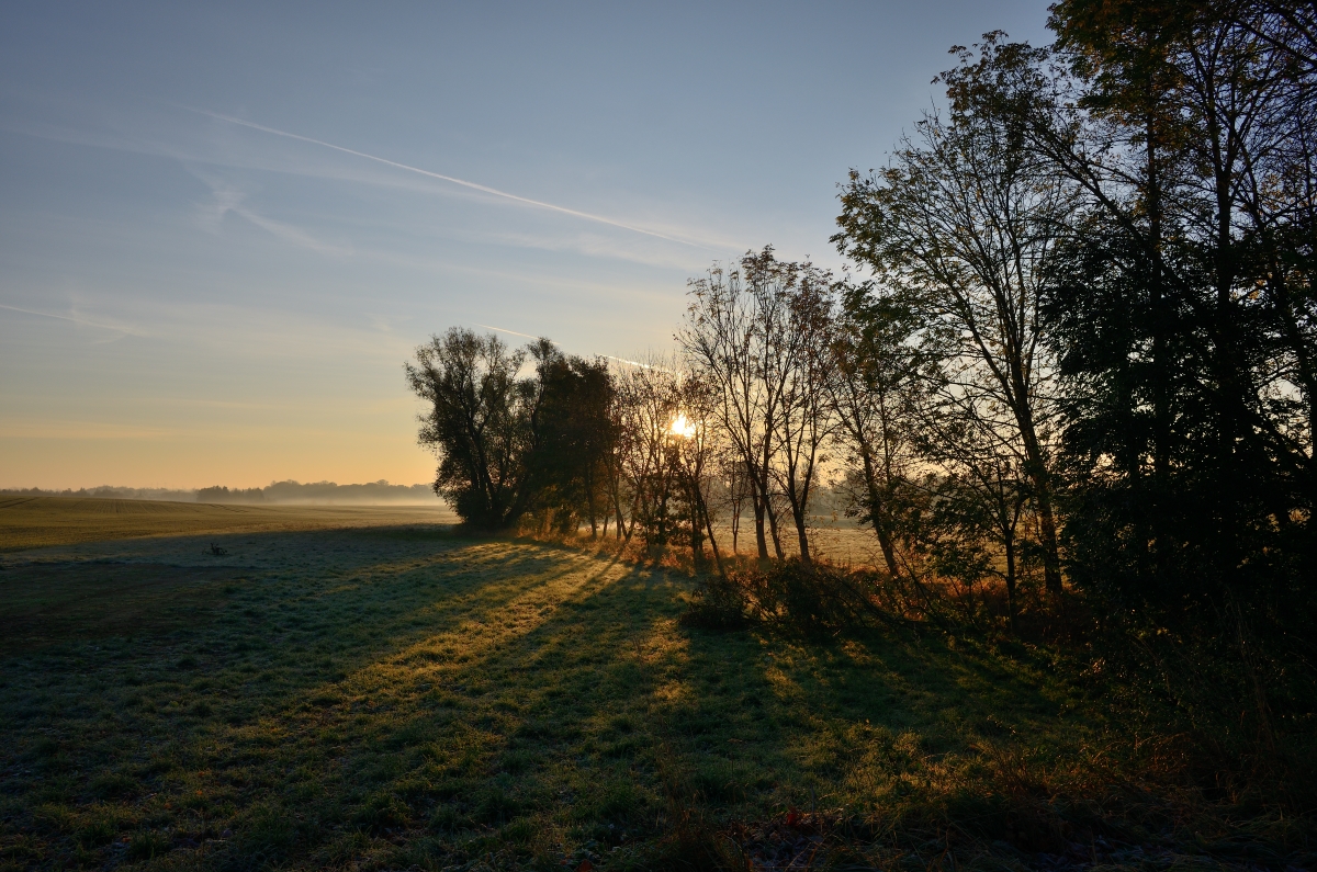 DSC_2861_00001n.jpg