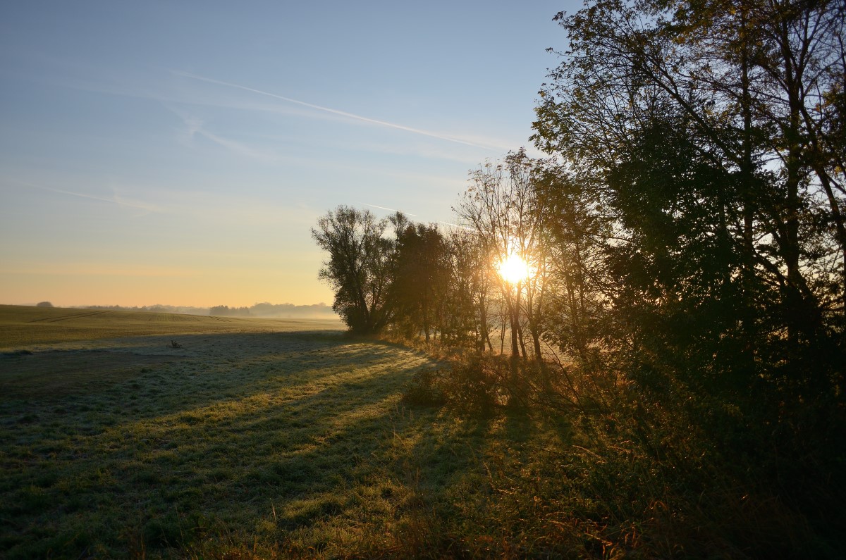 DSC_2863_00001n.jpg