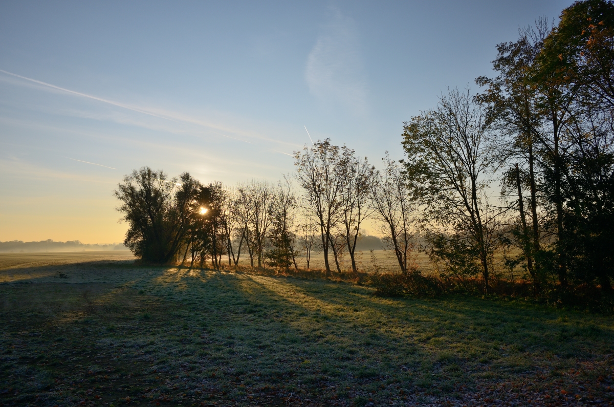 DSC_2865_00001n.jpg