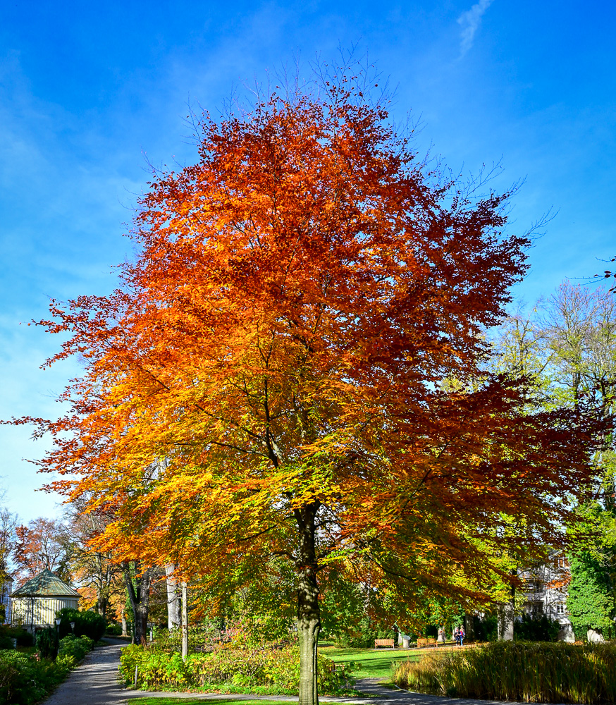 DSC_2866.jpg