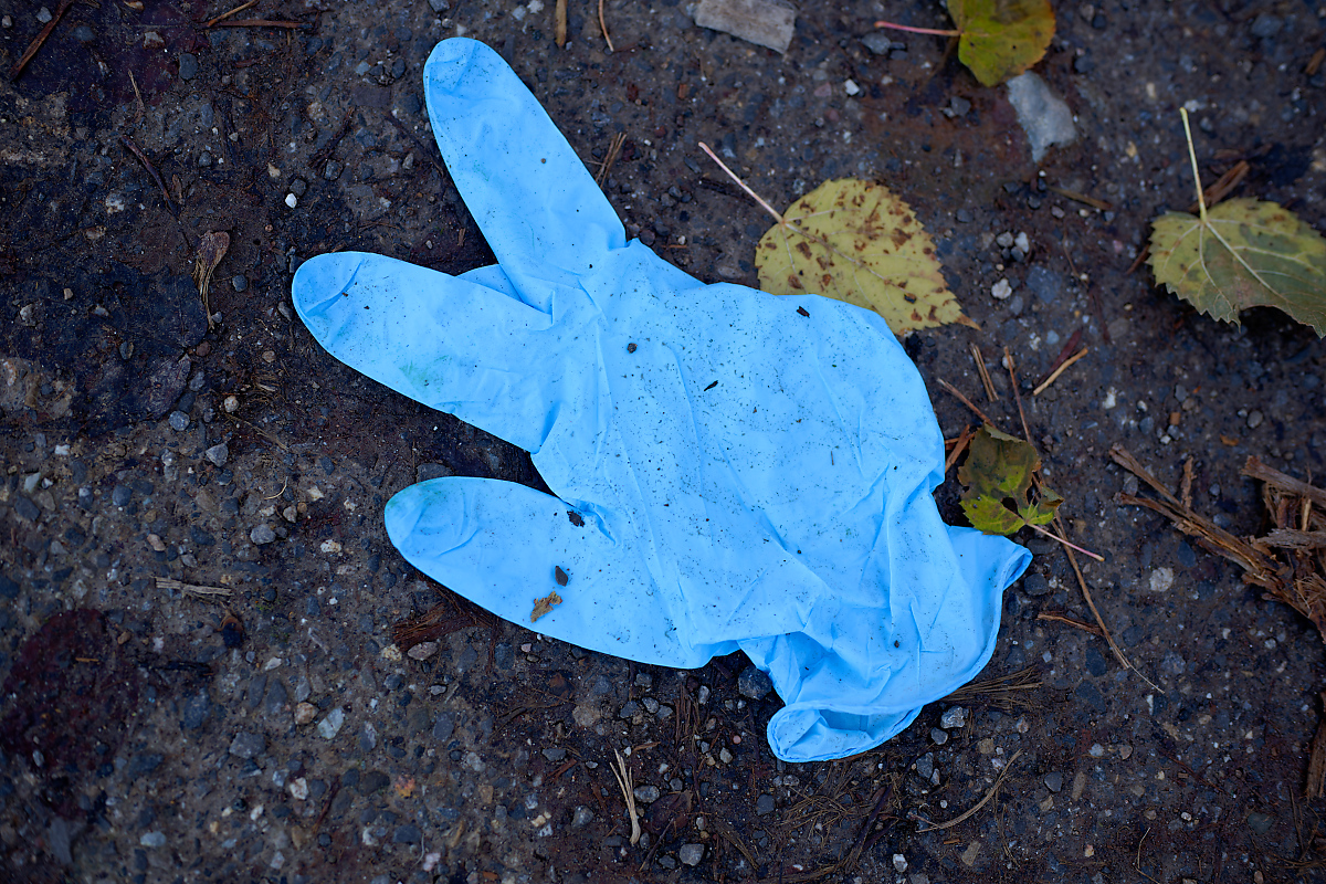 DSC_2872.jpg