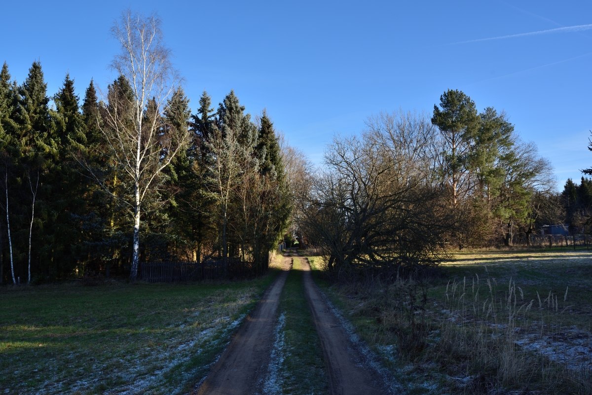 DSC_2876_00001n.jpg