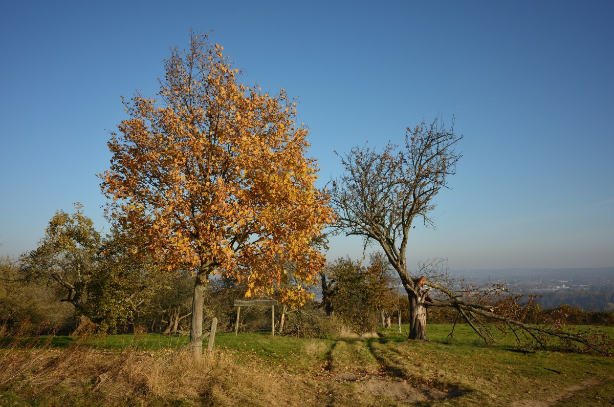 DSC_2889_00001n.jpg