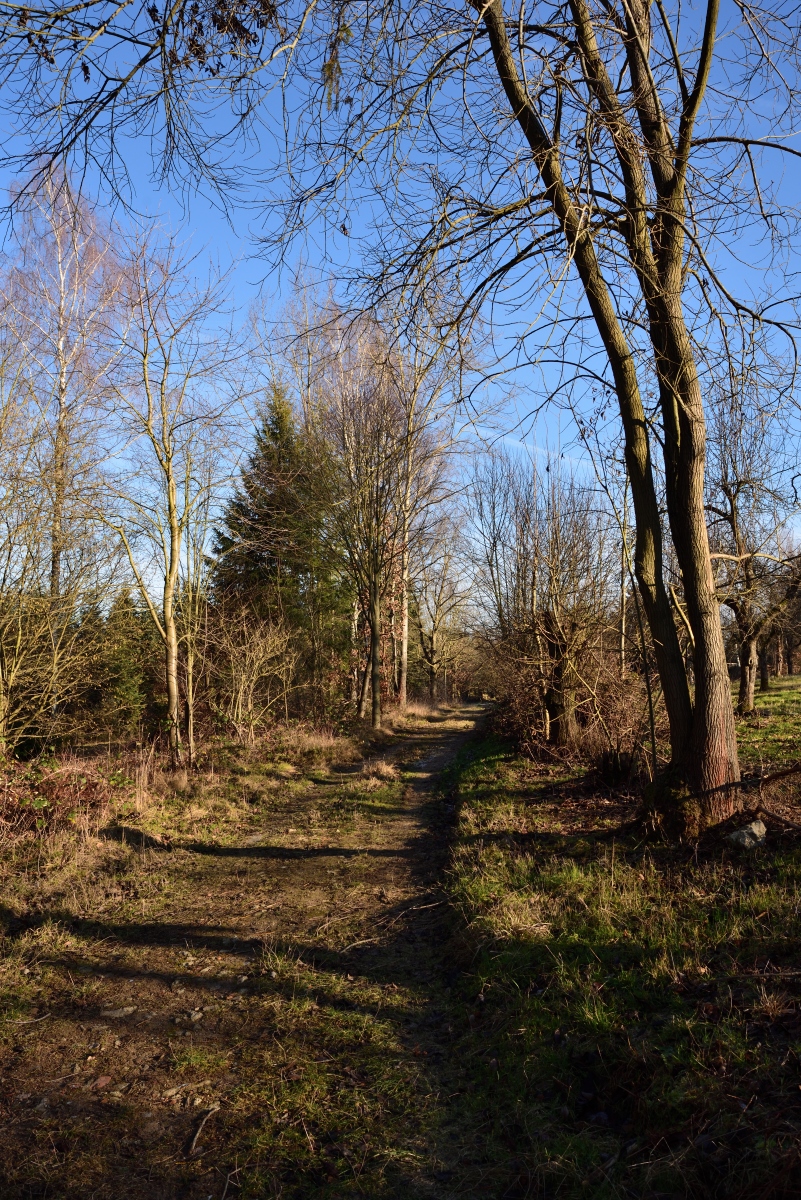 DSC_2892_00001n.jpg