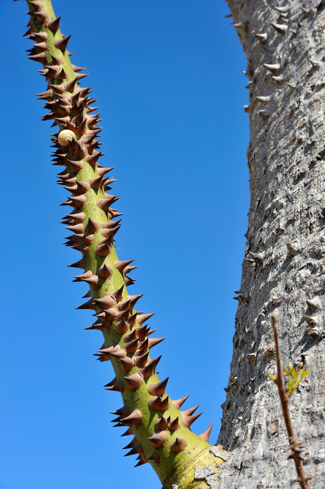 DSC_2896.jpg