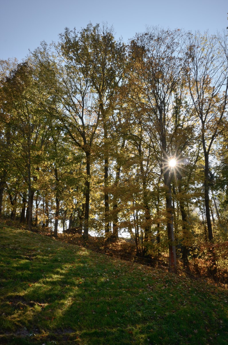 DSC_2913_00001n.jpg