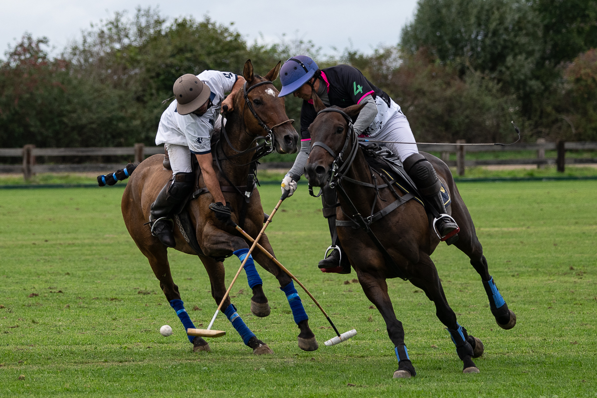 DSC_2934.jpg