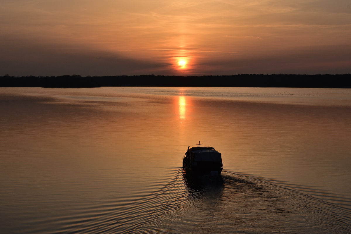 DSC_2953.JPG