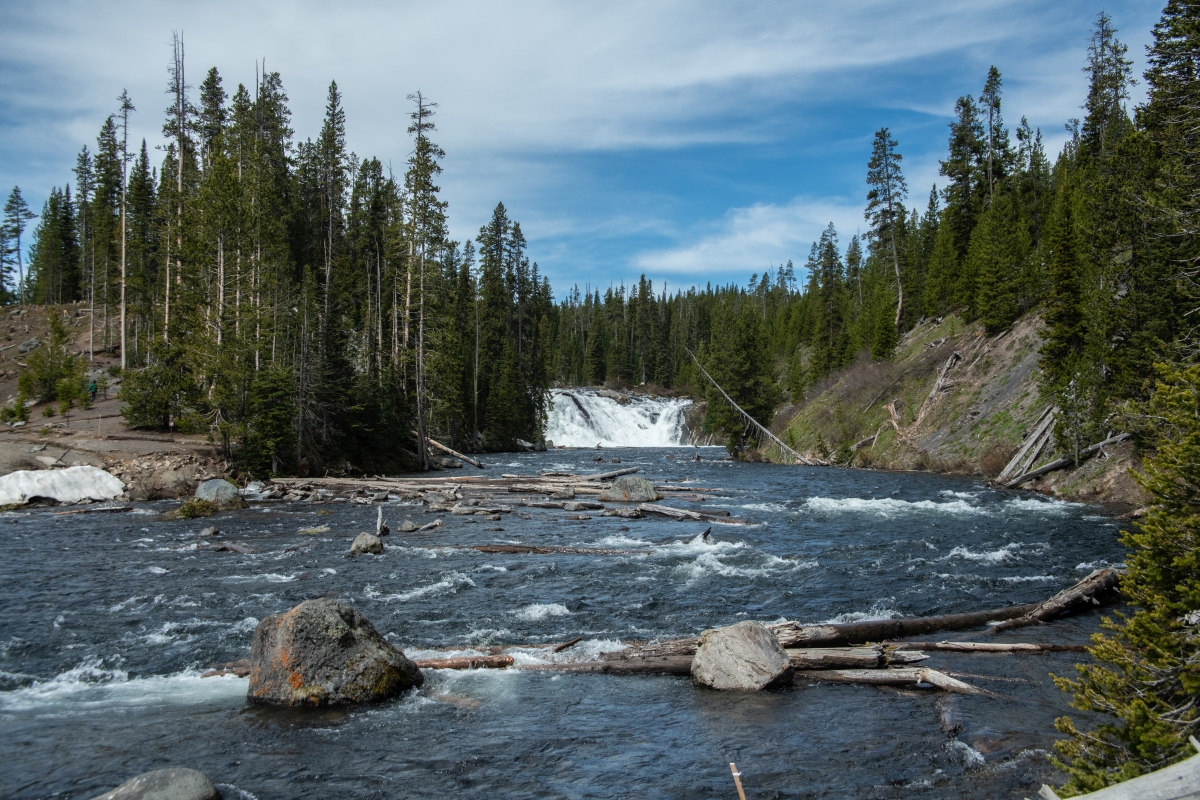 DSC_2969.jpg