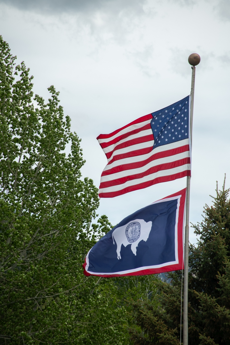 DSC_2988.jpg