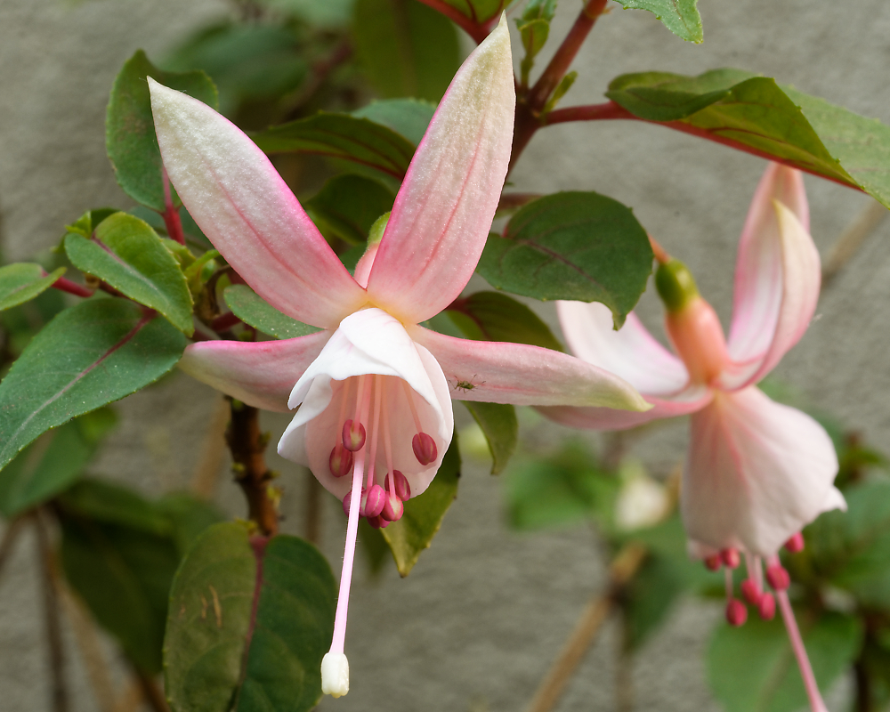 DSC_2989_DxO.jpg