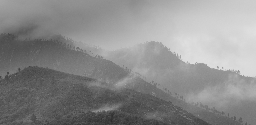 DSC_2990.jpg