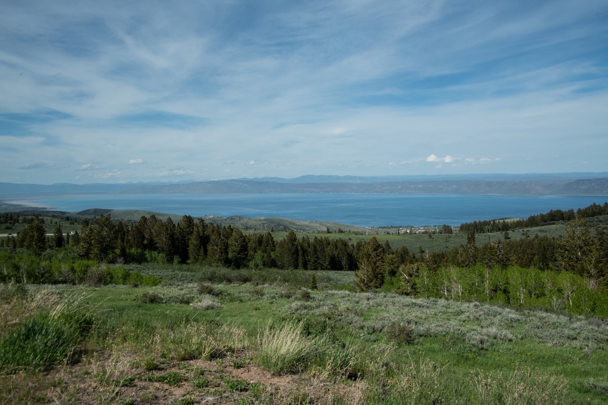 DSC_2994.jpg