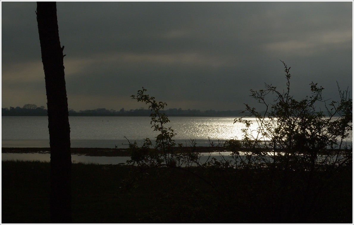 DSC_3027.jpg