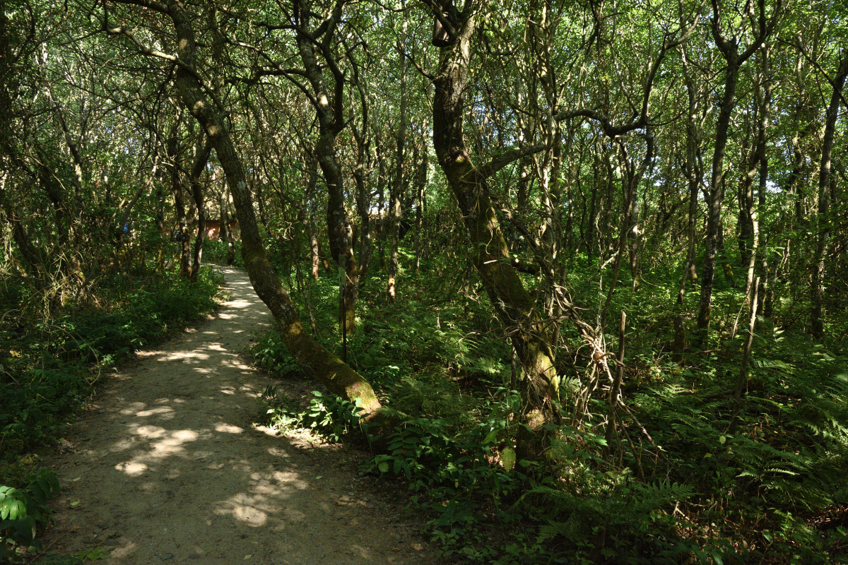 DSC_3056.JPG