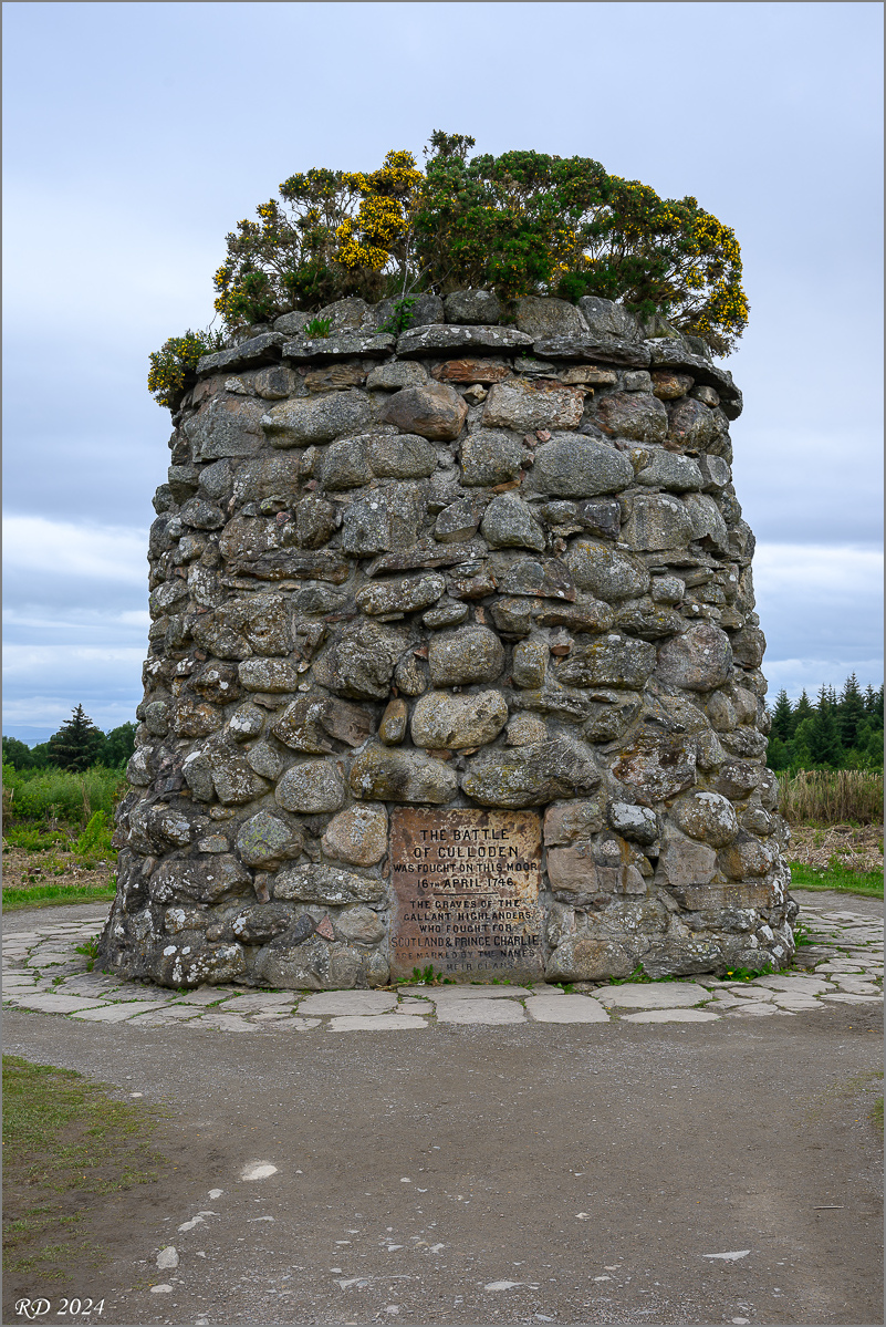 DSC_3064.jpg