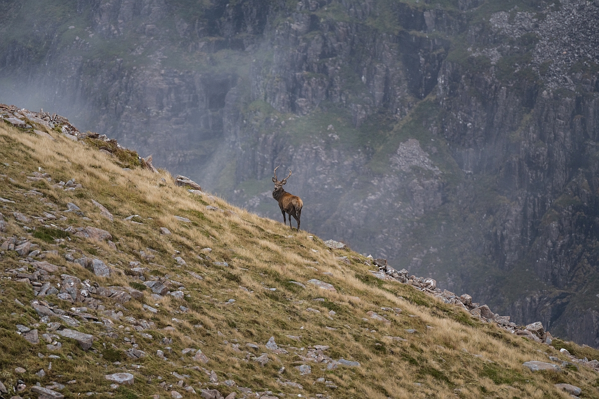 DSC_3110.jpg