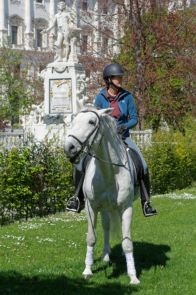 DSC_3121_DxO.jpg