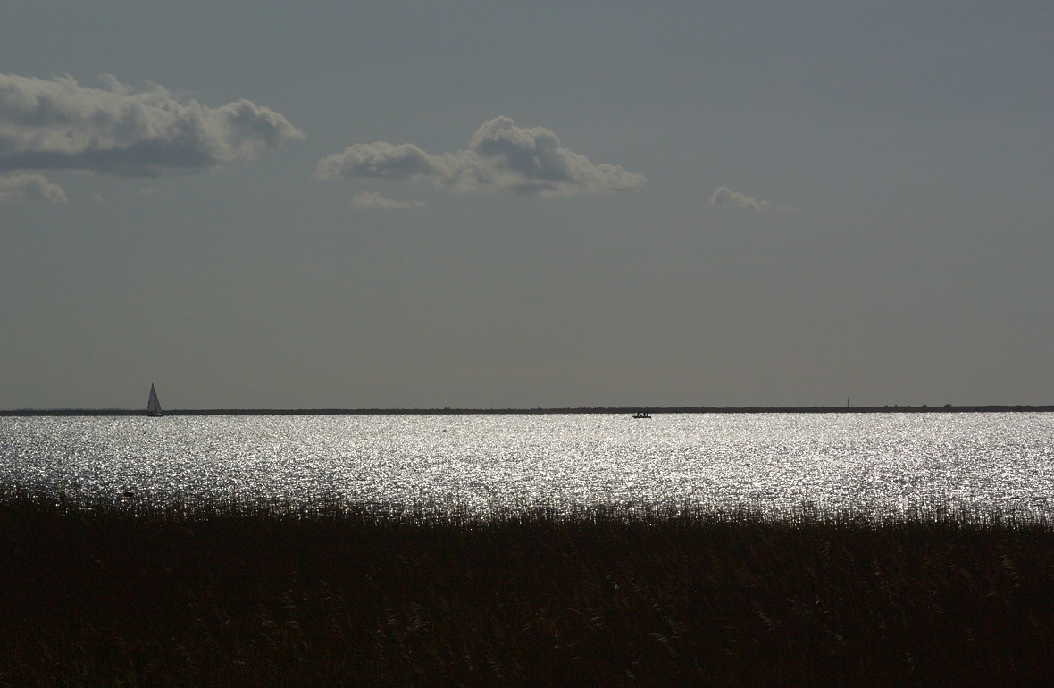 DSC_3175.jpg