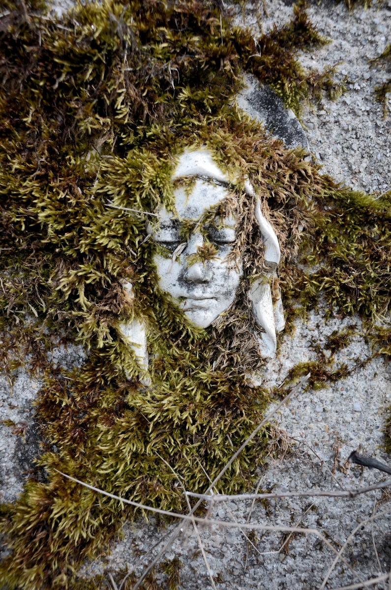 DSC_3211_00001_01n.jpg