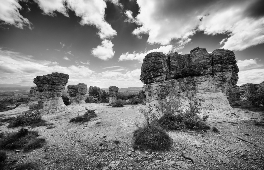 DSC_3218-Bearbeitet-sw.jpg