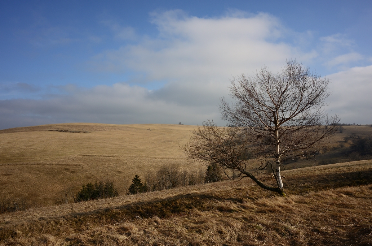 DSC_3242_00001n.jpg