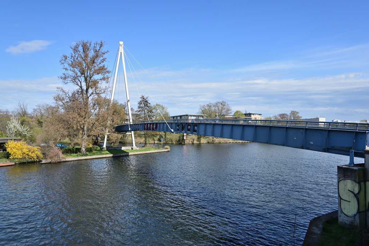 DSC_3264.JPG