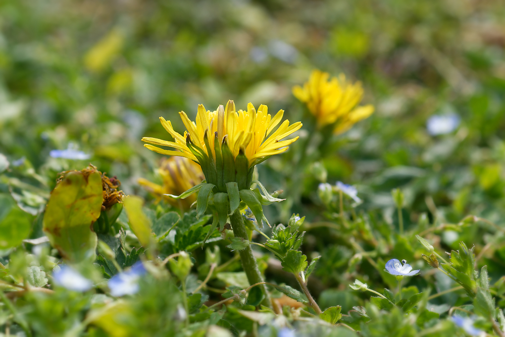 DSC_3268_DxO.jpg