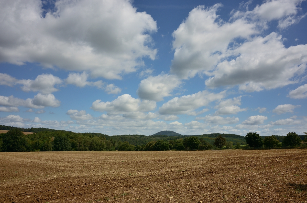 DSC_3269_00001n.jpg