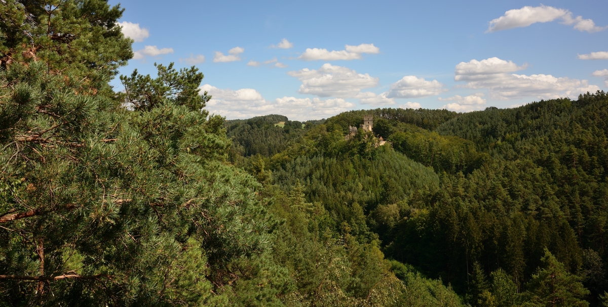 DSC_3284_00001_01n.jpg