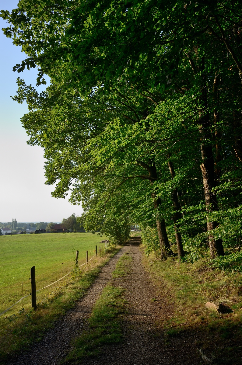 DSC_3303_00001n.jpg