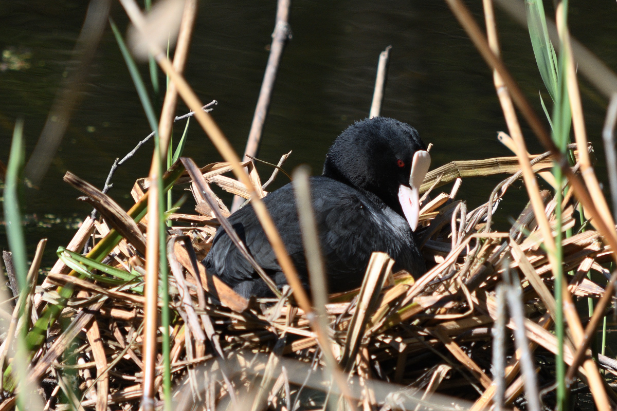 DSC_3305.JPG
